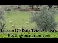Lesson 17 - Data Types