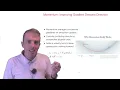 Adam AdamW How the Default Optimizer is Different from SGD Lecture