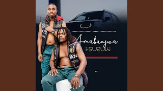 i suzuki feat mnikezwa 