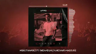 afro swanky ngikuthandile visualizer ft dreamelihle u0026 richard magolide