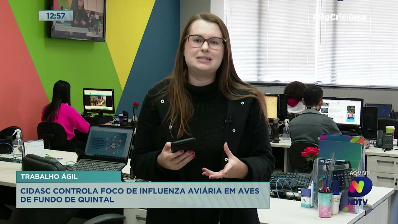 Influenza Aviária: foco em Maracajá foi controlado pela Cidasc