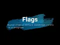 Bool Variables and Flags