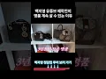 The Reason Baek Ji-young s Staff Keeps Buying Luxury Goods