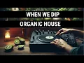 When We Dip Organic House Best New Extended Tracks 2024-04-11
