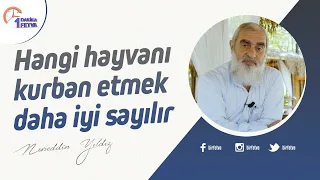 Hangi hayvanı kurban etmek daha iyi sayılır