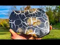 Download Lagu Cutting “Lightning Stones” open! Premium Septarian nodules revealed!