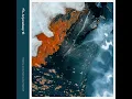 Magnolia (Jody Wisternoff & James Grant Remix (Mixed))