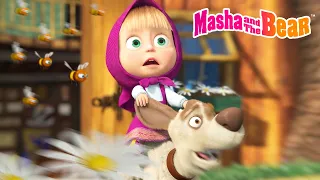 🍯🐝 Honey Day and More Popular Episodes 🧺💜 Best Episodes Collection 🎬 Masha and the Bear 2026
