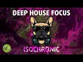 Download Lagu Peak Focus for Complex Tasks - Deep House Lounge French Bulldog Mix
