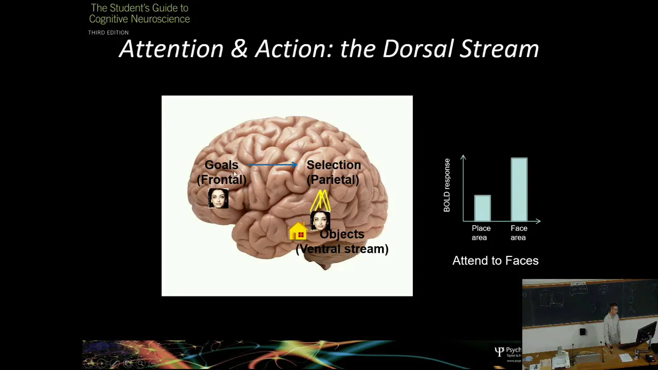 Ch9 and Ch10 Attending and Acting Brain (4th Edition)