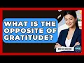 What Is The Opposite Of Gratitude - Mind Over Substance