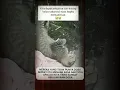 Download Lagu kita dapat pelajaran dari kucing kalau sakaratul maut begitu menyakitkan