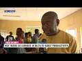 NDE Trains 50 Farmers In Delta To Boost Productivity