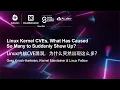 Linux Kernel CVEs What Has Caused So Many to Suddenly Show Up - Greg Kroah-Hartman