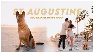 St Augustine Vlog Dog Friendly Things to Do in St Augustine FL Day Trip to St Augustine