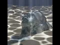 Ocean Floor