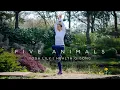 Download Lagu Five Animals Frolics Qigong (follow me) | Wu Xin Qi | 五禽戏
