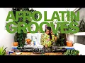 Download Lagu Caribbean Rhythms \u0026 Afro-Latin Grooves, Champeta, Soukouss [Vinyl Studio Session] with Mr. Nice