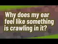 Why does my ear feel like something is crawling in it