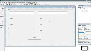 VIsual Basic 6 Command option and check box tutorial