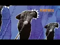 Unknown Road (2005 Remaster) - Pennywise