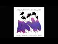 Download Lagu Mauro Sabbione \u0026 Maria Cinzia Bauci - Omphalogramma