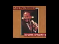 Marvin Gaye - My Love Is Waiting (7" Version)