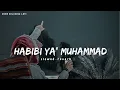 Habibi Ya Muhammad✨ (slowed reverb) Beautiful Nasheed Naat  l Lofi Version l Mind Relaxing Naat