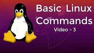 Linux Tutorial 3 Basic Linux commands copy move ls and chmod commands
