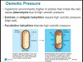 2117 Chapter 6 - Microbial Growth