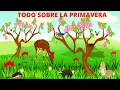 LA PRIMAVERA PARA NINOS TODO SOBRE LA PRIMAVERA En Espanol