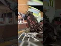 Two people are injured after a car crashed into a McDonald s in Springfield Mass Saturday night