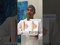 What To Expect At A Consult with Dr Zuri in Miami Zuri Plastic Surgery
