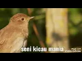 Download Lagu Sikatan londo non stop 10 jam