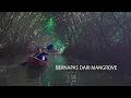Lagu Film Dokumenter: 'Bernapas Dari Mangrove' | Kisah Tagana Perajut Hutan Mangrove di Kebumen