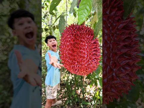 Fruit Picking Hacks for Survival in the Forest