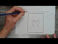 Basic Facial Proportions Worksheet Review
