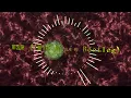 R3HAB & Headhunterz - Won't Stop Rocking (IMTG Music Bootleg) (Hardstyle remix)