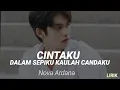 Download Lagu LIRIK Dalam sepiku kaulah candaku - CINTAKU - Bajol Ndanu × Nova Ardana