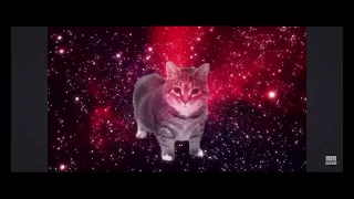 Uia Song Please Subscribe Uia Song Trend 