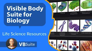 visible body suite for biology