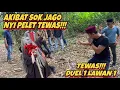 Lagu TERBARU BANG REY LAMPUNG DUEL LAWAN NYI PELET BERAKHIR TEWAS TAK BERNYAWA