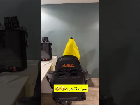 لابس موزه فشفاش🤣🤣