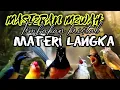 Download Lagu MASTERAN MURAI BATU FULL ISIAN TEMBAKAN MEWAH ‼️