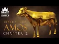 Amos Chapter 2 bible study small group study