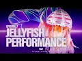 Download Lagu Jellyfish Performs \