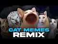 Download Lagu ALL CAT MEMES REMIX