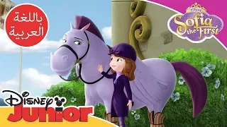 صوفيا الأولى ماكسيموس 