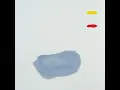 Red Bird