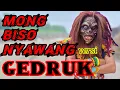 Download Lagu VIDEO COVER \